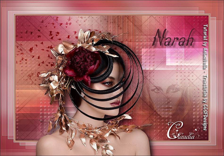 Les : Narah van Chantal